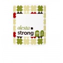 Prosop hartie Alesta Strong, 100 m, 2 straturi, 1 kg, 23x22.5 cm/foaie, 100% celuloza