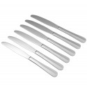 Sw Set 6 cutite inox SW003