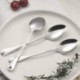 Set 6 lingurițe pentru cafea inox SW0015