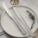 Set 6 cuțite inox SW0015