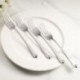 Set 6 furculițe inox SW-F0015